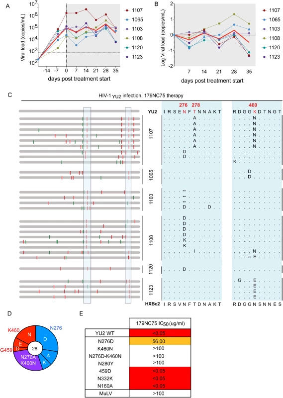 Hu-mice treatment with 179NC75.