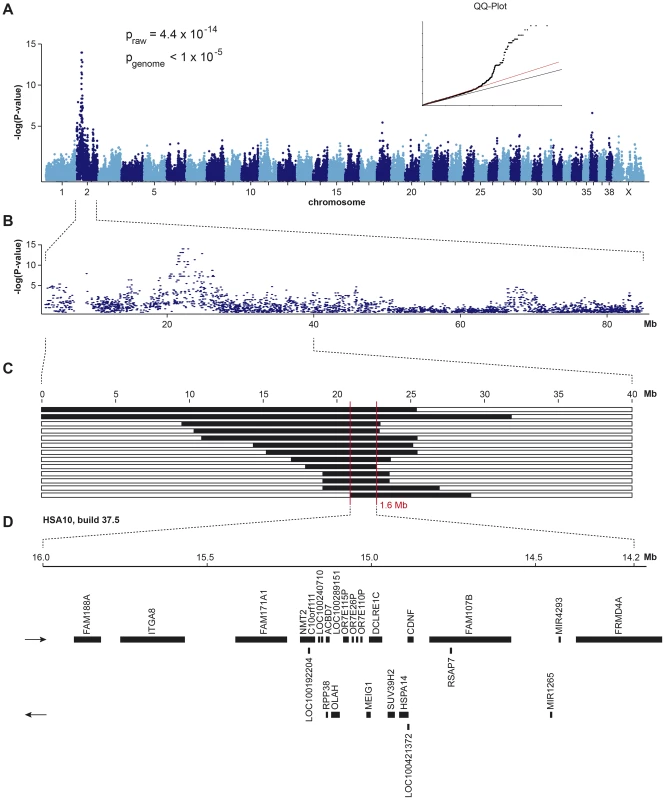 Mapping of HNPK in Labrador Retrievers.