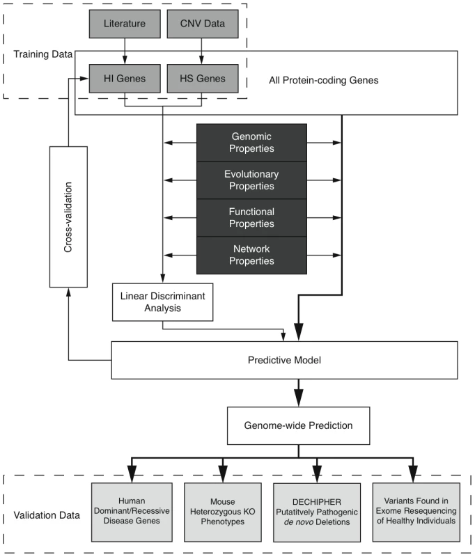 Outline of the prediction framework.