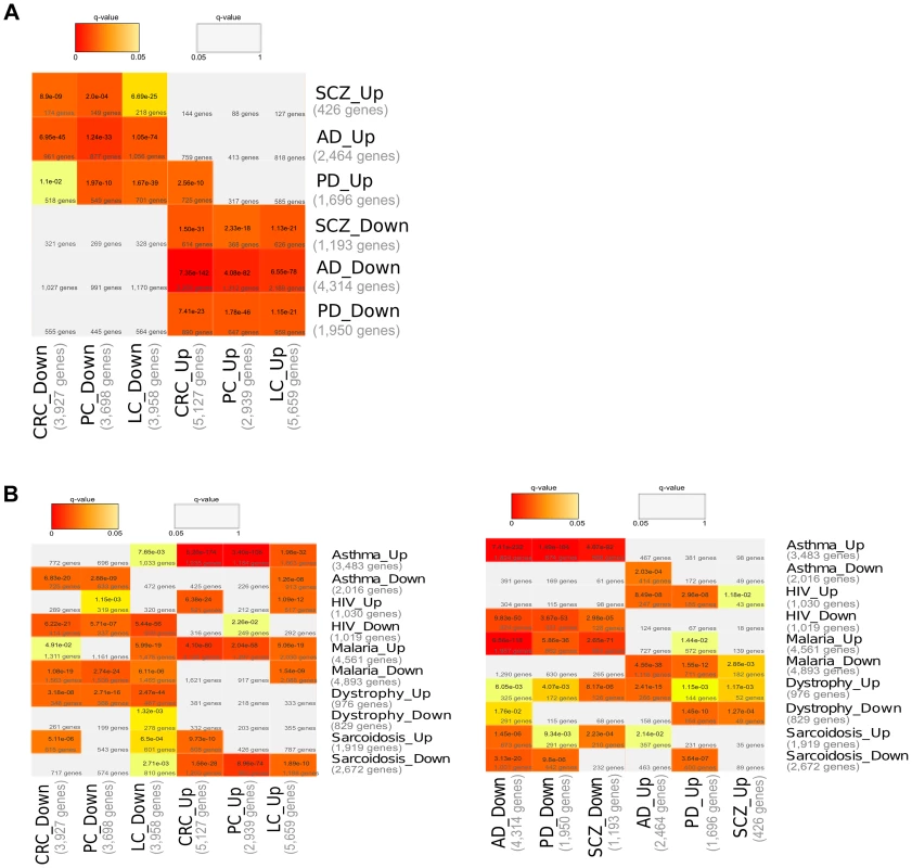 Comparisons of Differentially Expressed Genes (DEGs).