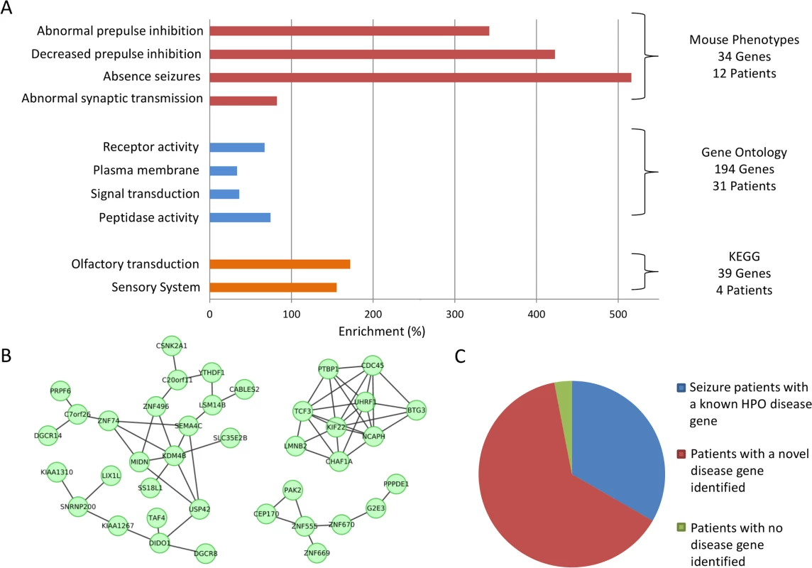 Functional genomics enrichments significantly enriched in genes affected by <i>de novo</i> CNVs in 33 patients presenting with seizures.