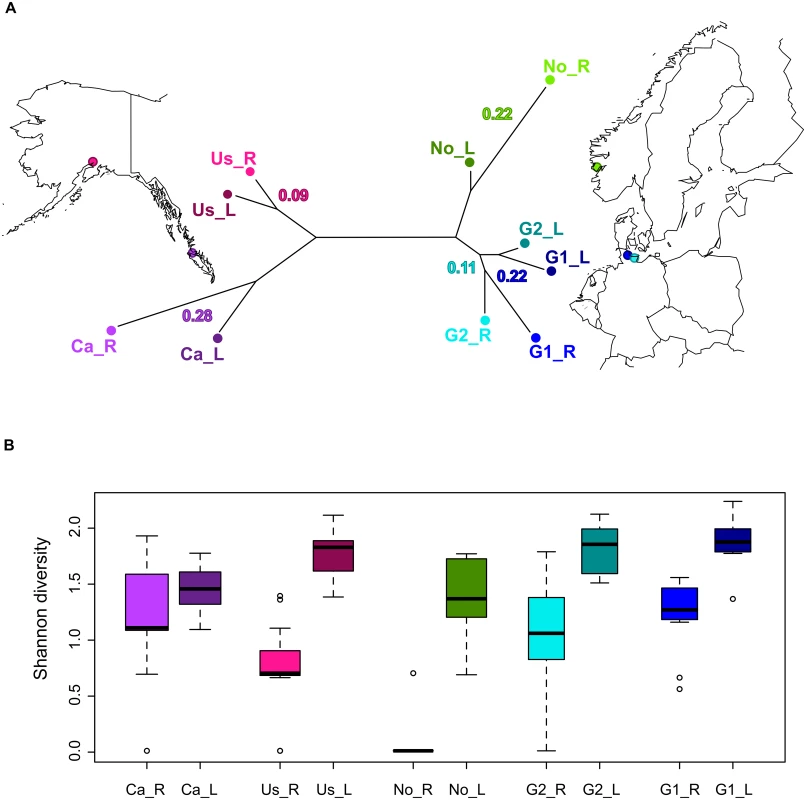 A Geographic map showing sampling locations including a neighbour-joining tree illustrating the genetic differentiation between sampled populations.