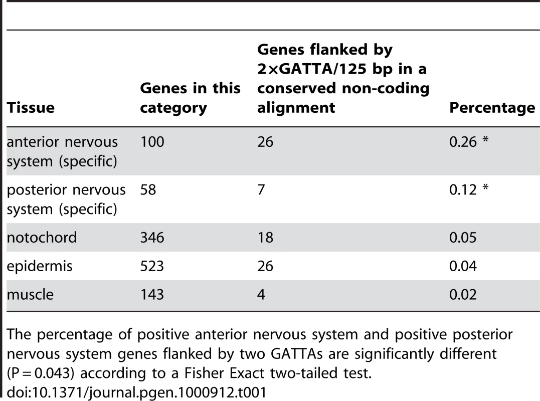 Antero-posterior distribution of enhancers with 2×GATTA tags.