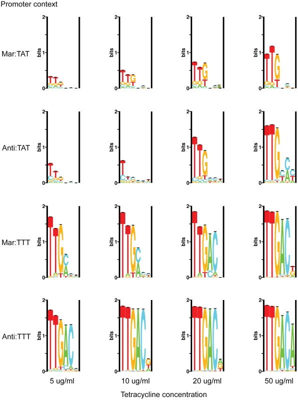 Sequence logos for competed  populations.