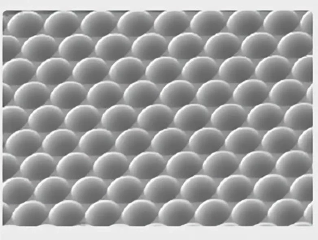 Microlens array. Převzato z https://www.accscicn. com/en/nanofabrication/ microlens-arrays/.