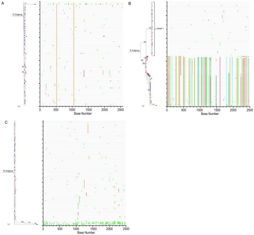 HIV-1 <i>env</i> phylogenies do not suggest measurable evolution on suppressive cART.