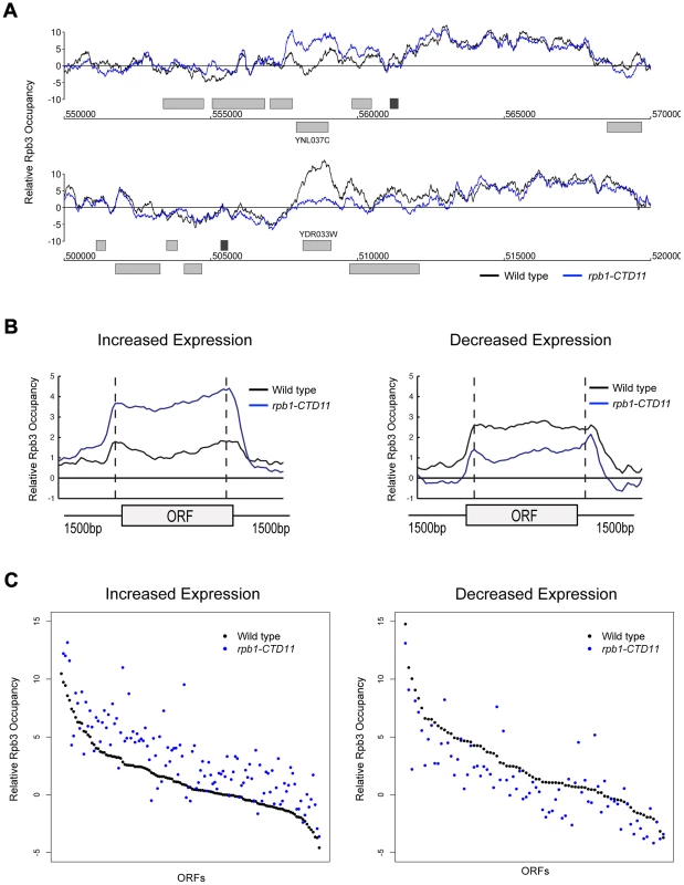 Genome-wide occupancy profiles of RNAPII identified a direct effect for the CTD in transcription regulation.