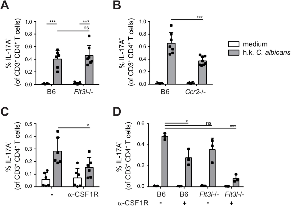 Flt3L-dependent migratory DCs and monocyte-derived DCs complement each other for Th17 priming during OPC.