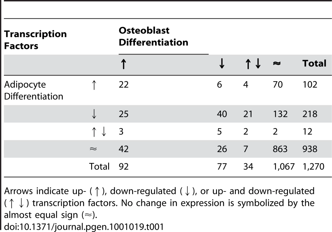 Expression behavior of 1,270 transcription factors selected from all mouse genes (Ensembl release 52) based on GO IDs (<em class="ref">Table 3</em>) during osteoblast and adipocyte differentiation.