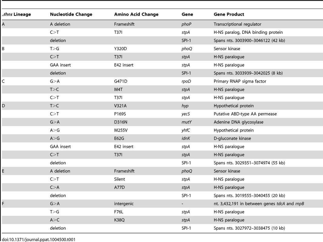 Summary of the genetic changes specific to the <i>hns</i> mutant lineages.