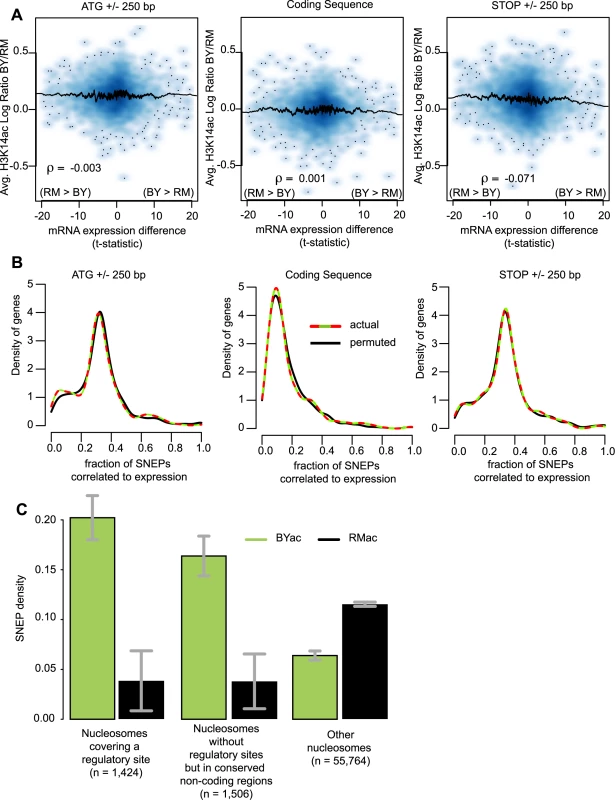 SNEPs are not associated with transcriptional differences but are enriched at conserved regulatory sites.
