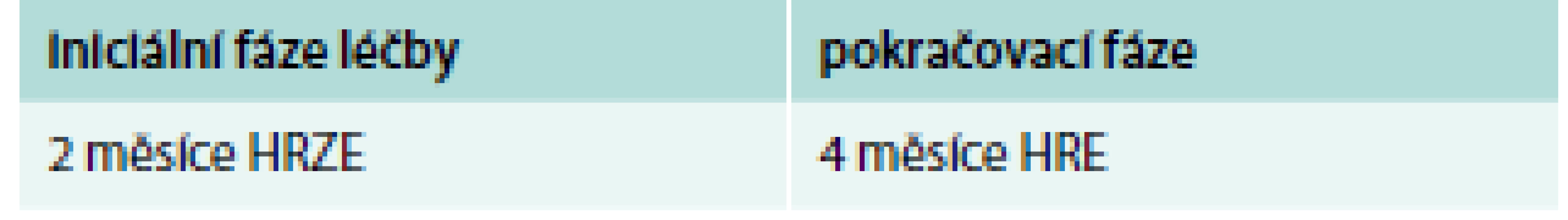 Standardizované režimy pro nové pacienty s tuberkulózou z oblastí s vysokým výskytem rezistence na izoniazid*.