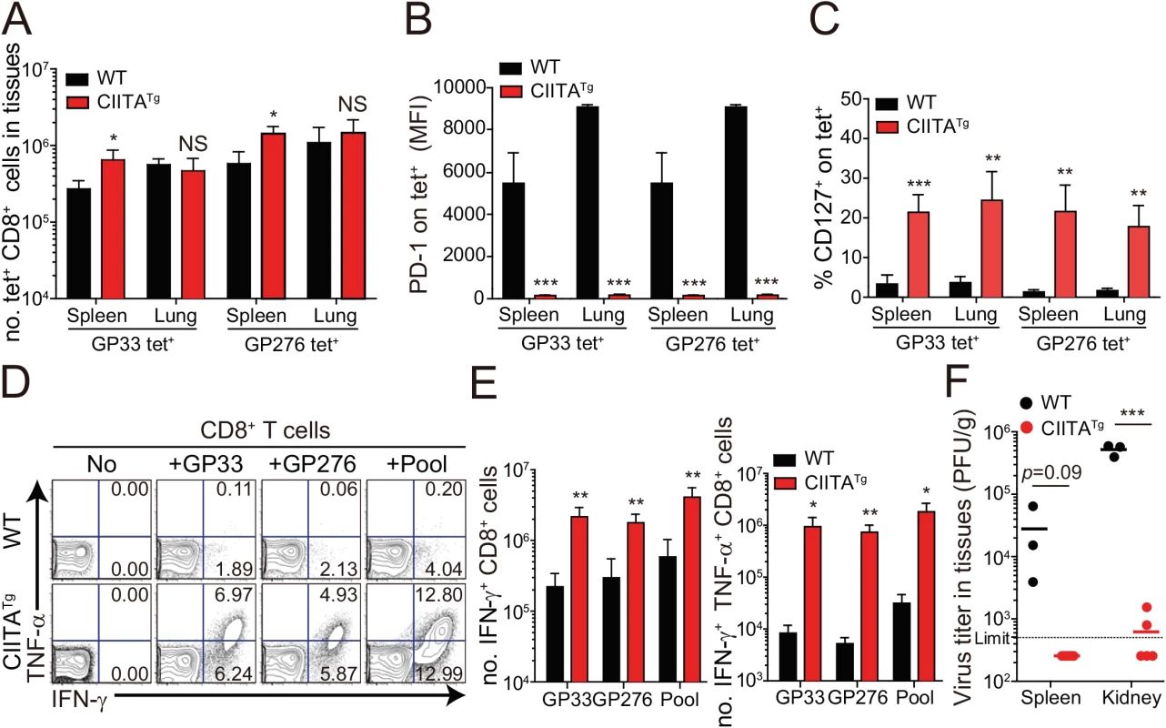 Phenotype and function of virus-specific CD8<sup>+</sup> T cells in tissues of LCMV infected CIITA<sup>Tg</sup> mice.