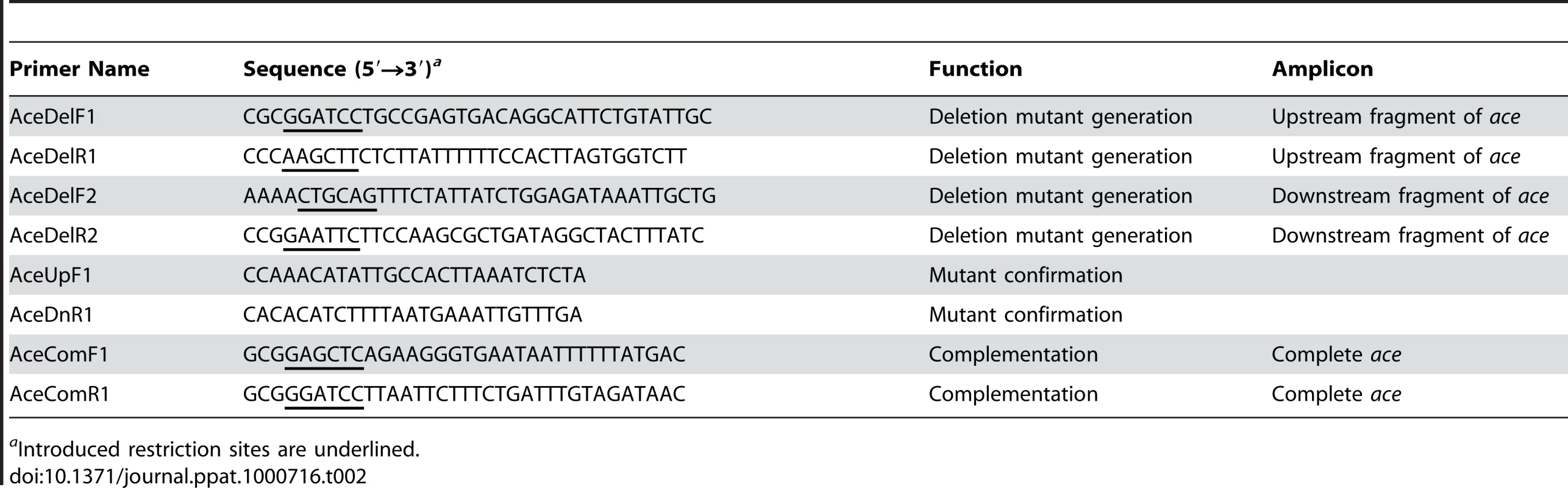 Primers used in this study.