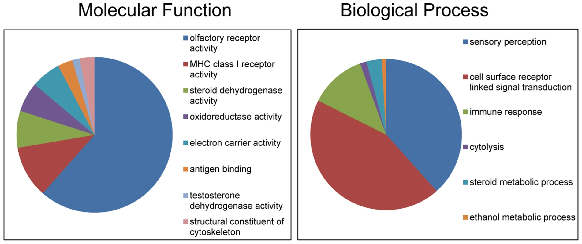 Gene Ontology classifications of copy number variable genes in horses.