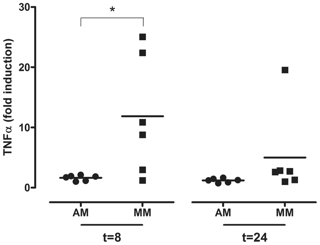 TNF-alpha mRNA levels in alveolar macrophages and monocyte-derived macrophages after LPS exposure.