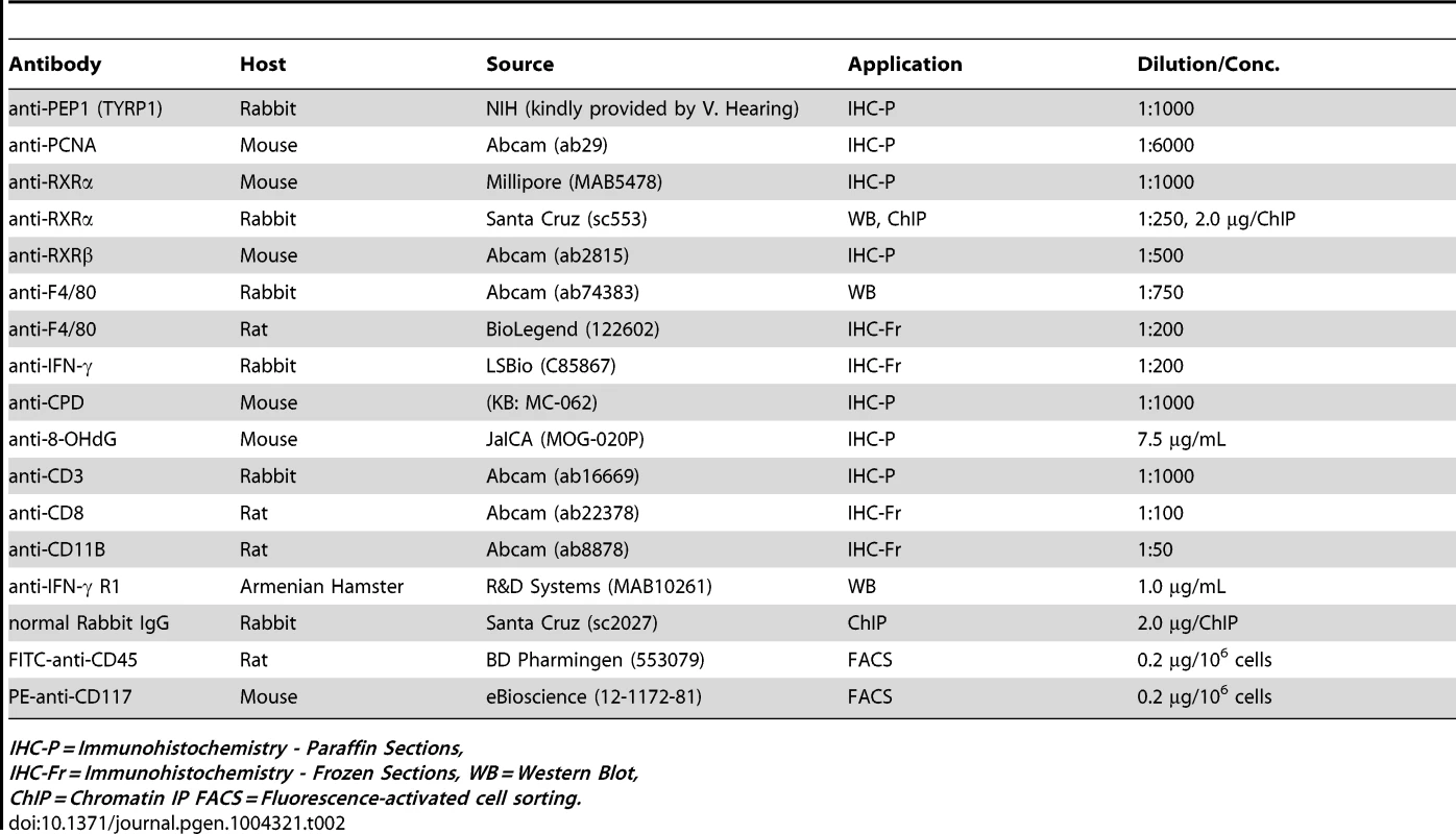 List of antibodies used during experimental procedures.