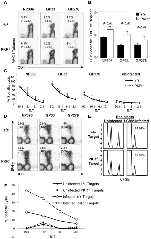 Primary CD8<sup>+</sup> T cell responses in PKR<sup>−/−</sup> mice.