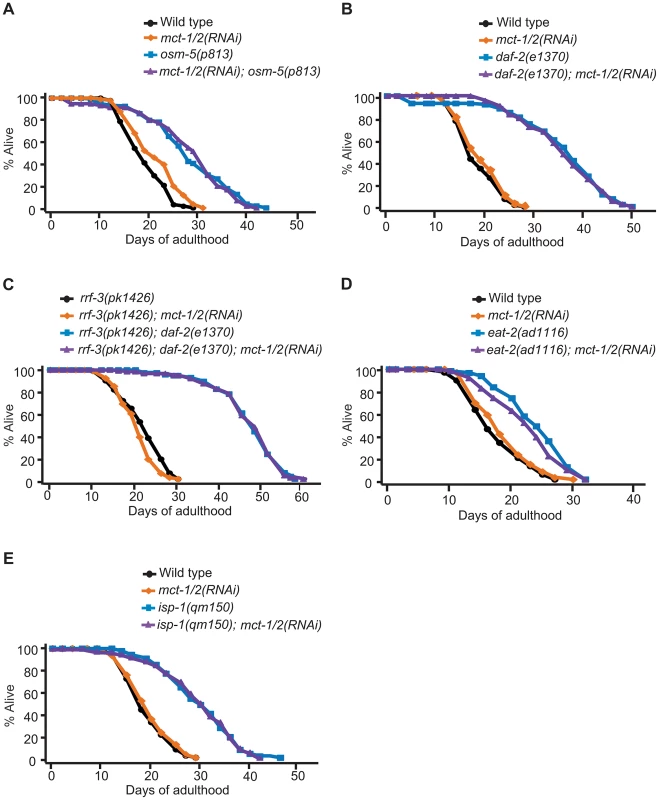 <i>mct-1/2</i> is dispensable for the longevity of various long-lived mutants.