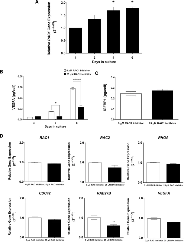 RAC1 regulates secretory function of human endometrial stromal cells.