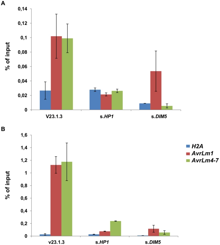 Trimethylation of lysine 9 of histone H3 (H3K9me3) is reduced in silenced-<i>LmHP1</i> and silenced<i>-LmDIM5</i> backgrounds.