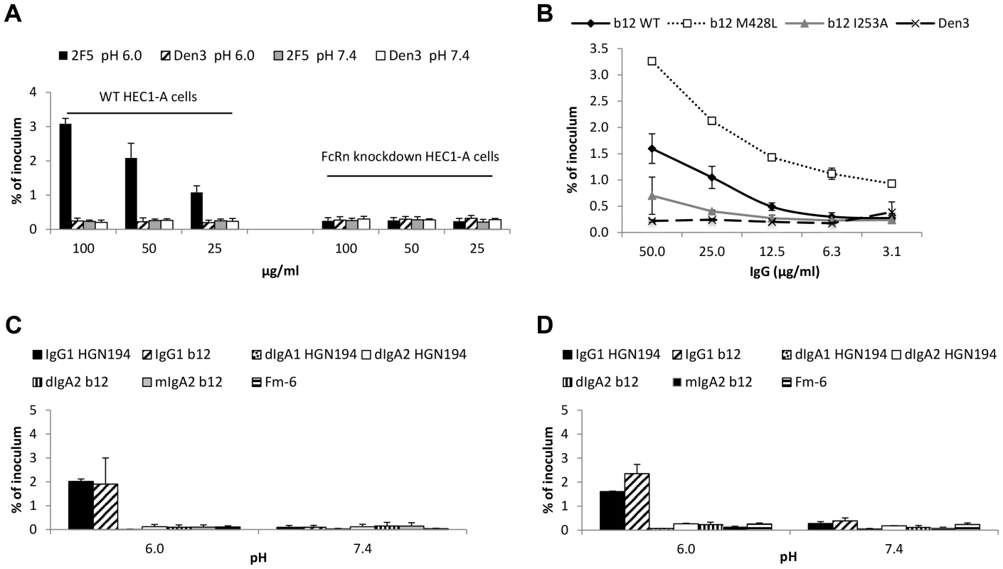 FcRn is responsible for pH/antibody-mediated enhanced transcytosis of HIV-1.
