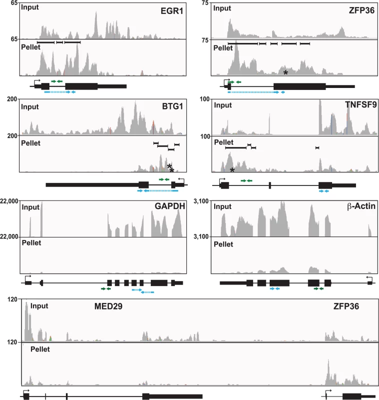 Sequence traces of ORF57-bound human RNAs.