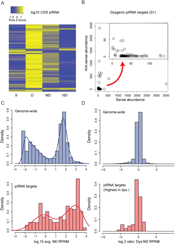 Genic piRNA targeting is increased in the dysgenic germline.