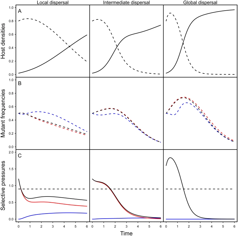 Effect of spatial structure on epidemiology and evolution in the model.