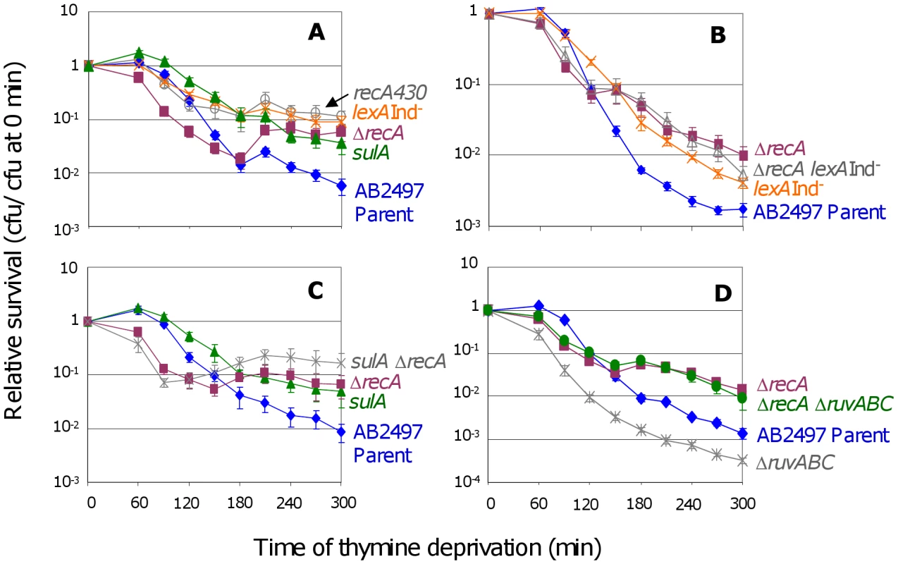 RecA and the SOS response in TLD.