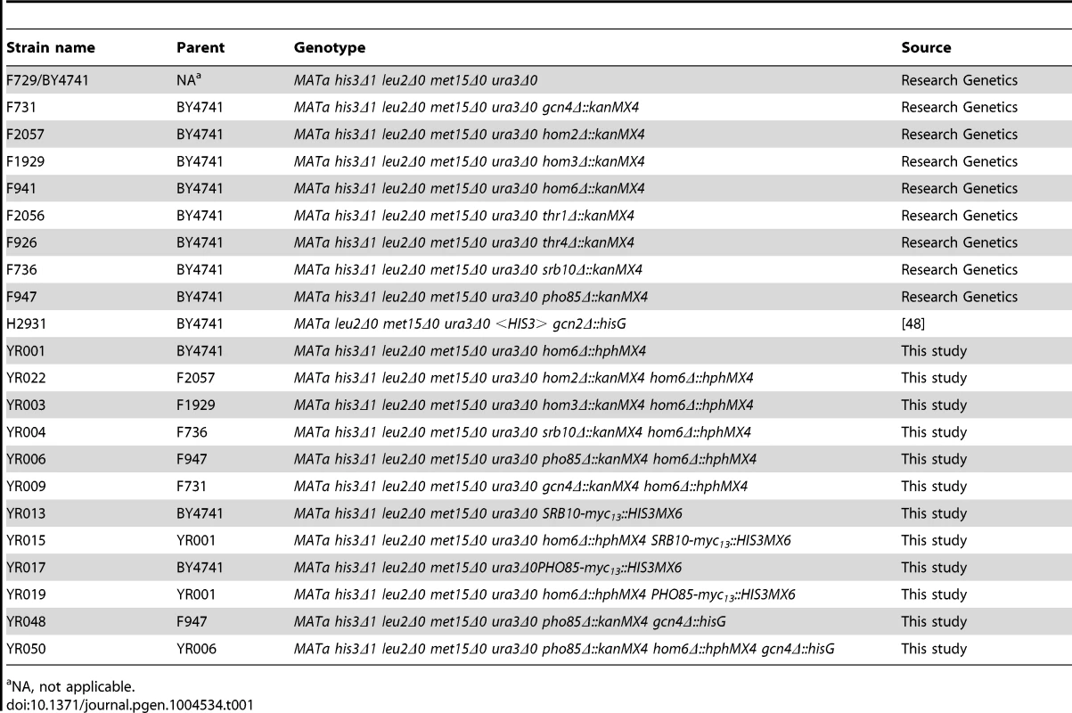 Yeast strains used in this study.