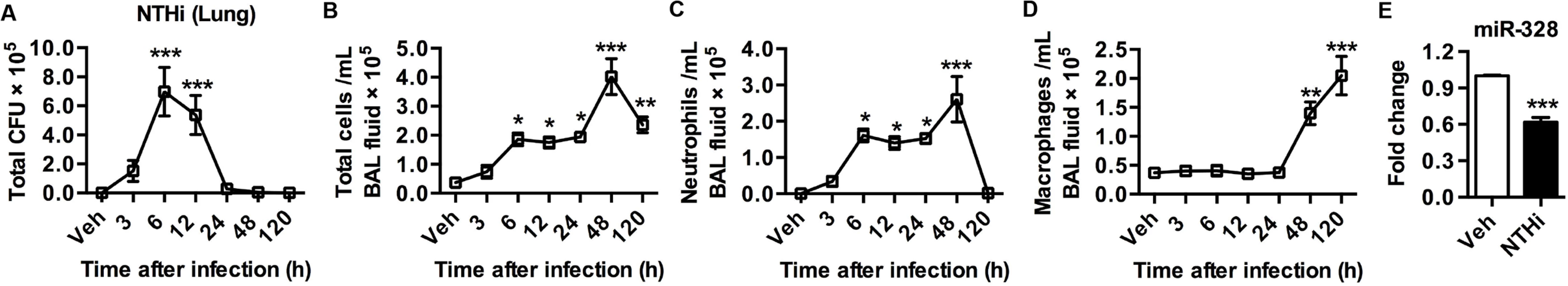MiR-328 is down-regulated after NTHi infection.