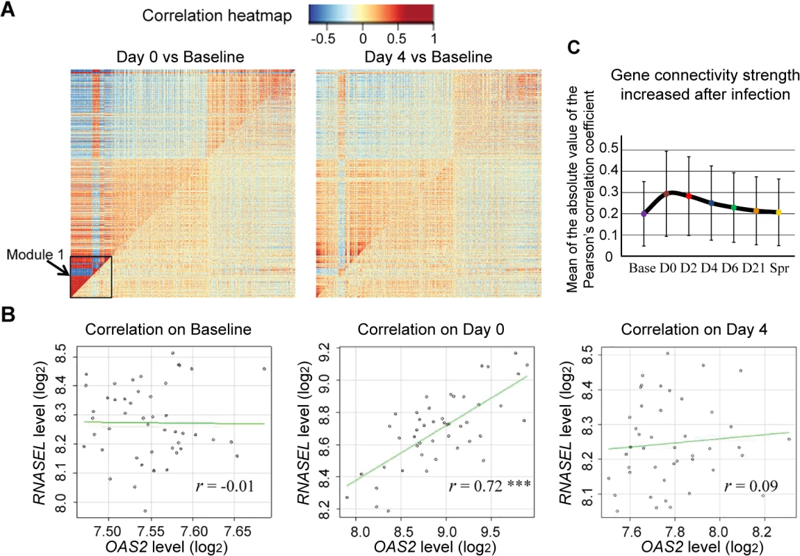Host gene network connectivity became stronger after the subjects were infected with influenza virus.
