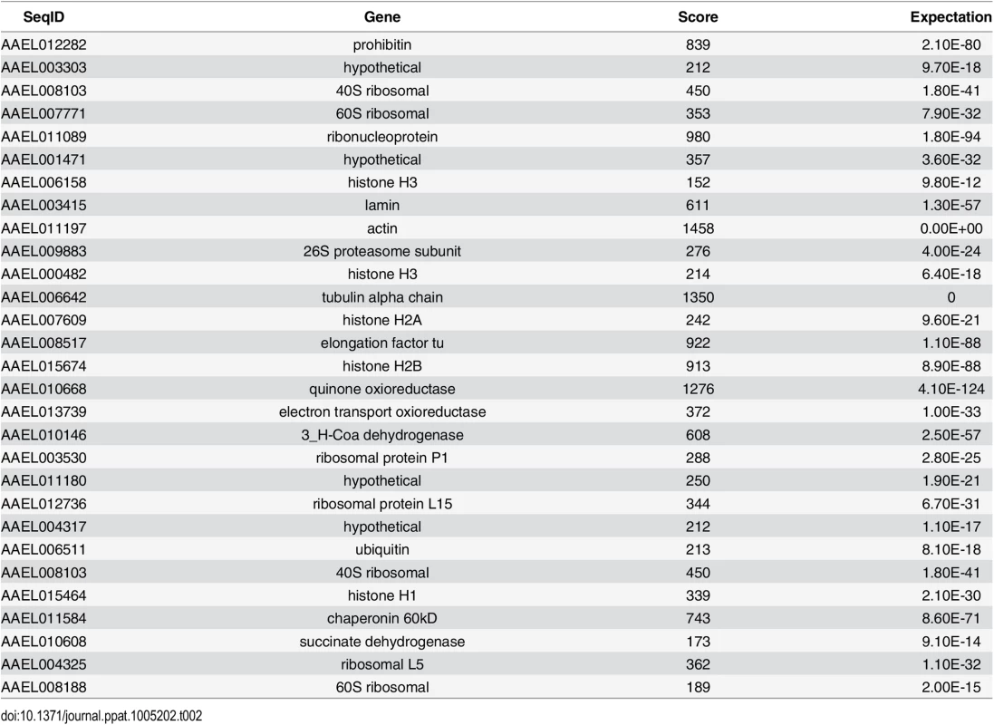 CRVP379 tandem affinity purification assay results.