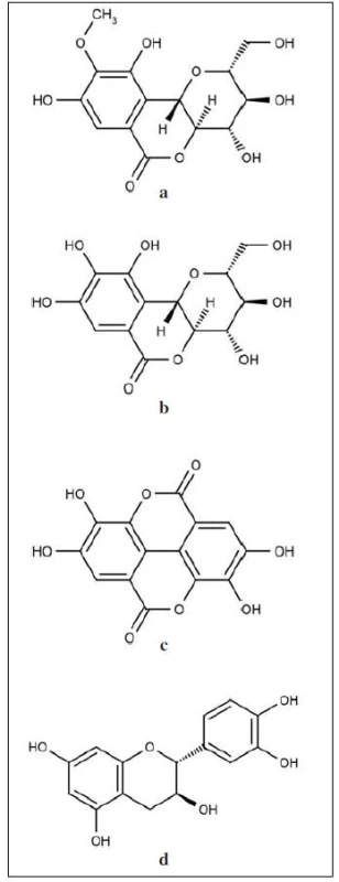 Strukturní vzorce obsahových látek z extraktů rodu Bergenia: a – bergenin (C-glykosid-4-O-methyl kyseliny gallové), b – O-demetylovaný derivát bergeninu norbergenin, c –kyselina ellagová, d – katechin<sup>5, 11, 18, 58)</sup>
