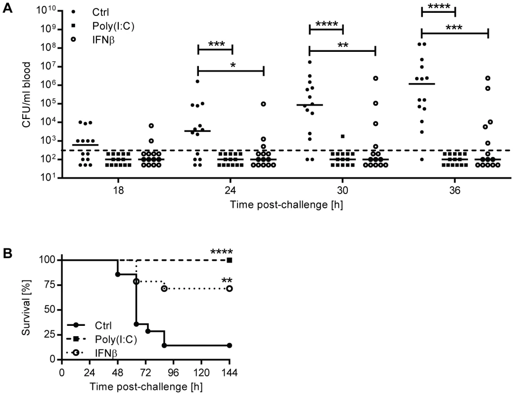 Pre-treatment of mice with IFNβ protects against the development of invasive disease.
