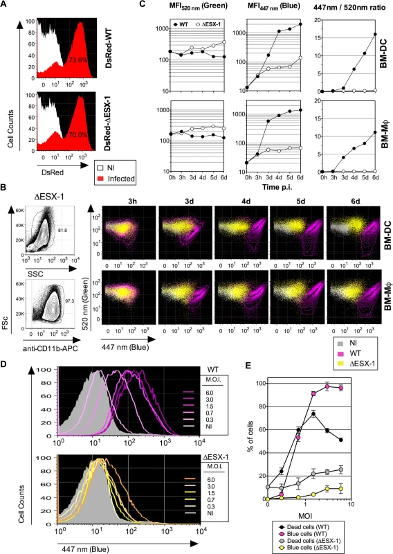 <i>Mtb</i>-mediated phagosome disruption in different phagocyte types, relationship with infection dose and cell death.