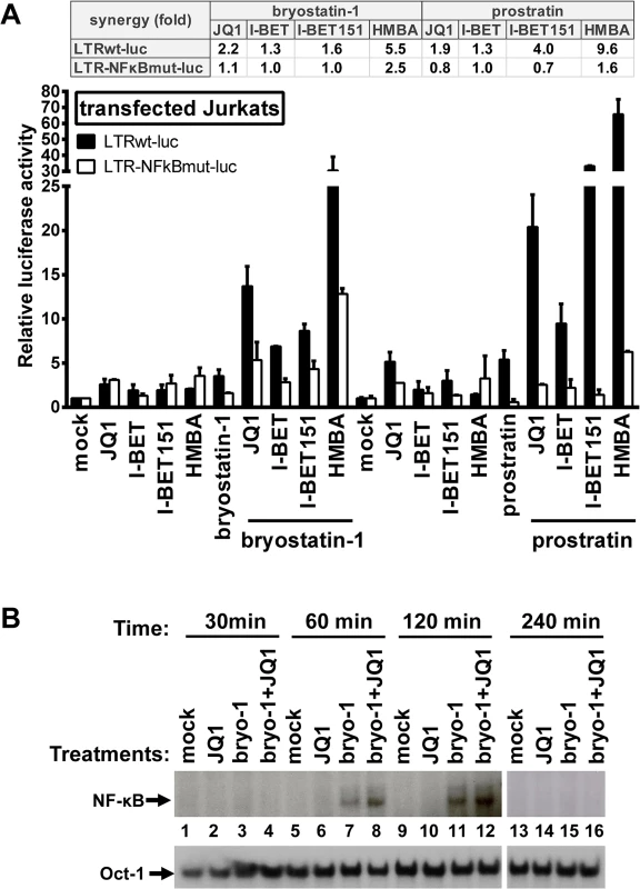 Synergistic inducibility of HIV-1 LTR promoter by PKC agonist+BETi/HMBA combinatory treatments depends on NF-κB.