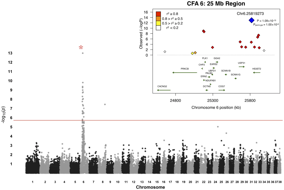 Manhattan plot of GWAS for adult-onset deafness.