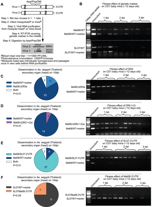 Competition tests on mosquitoes and mice.