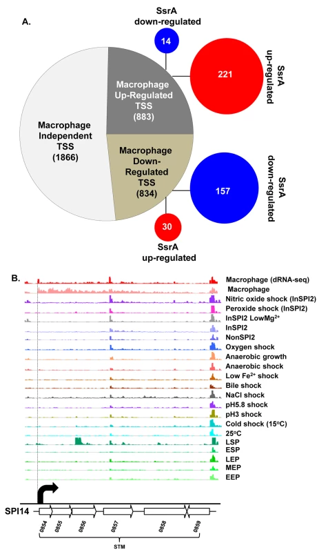 The primary transcriptome of intra-macrophage <i>Salmonella</i>.