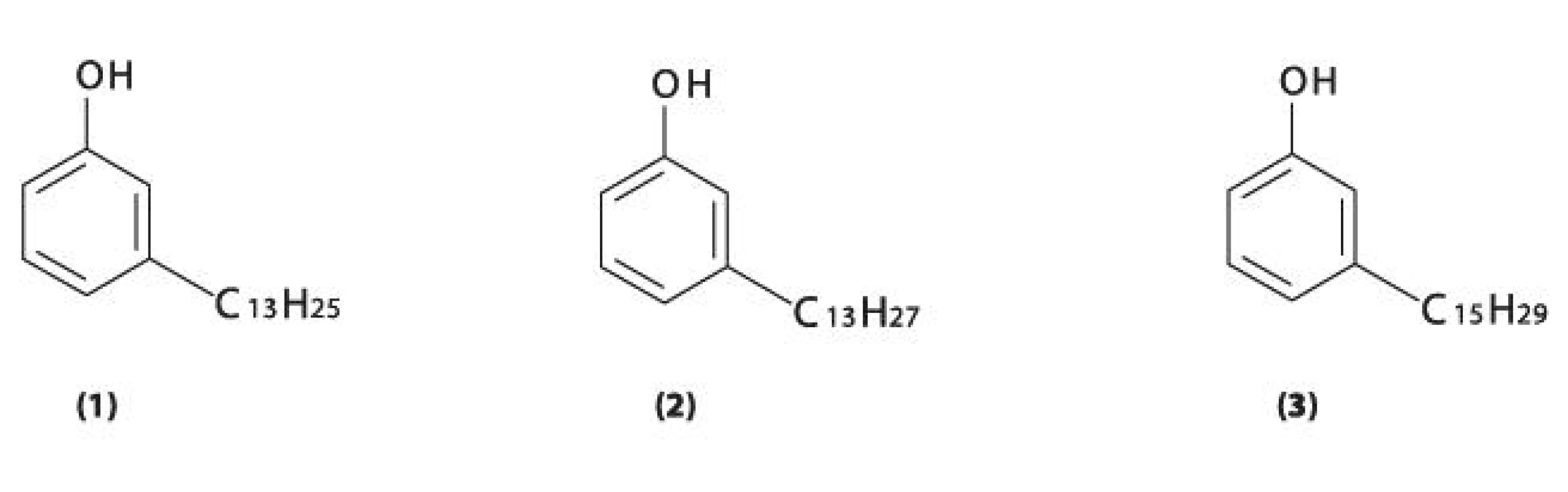 Fenolické lipidy (m-alkylfenoly, m-alkenylfenoly) obsažené v silici listů R. hirta 1 – m-tridecenylfenol, 2 – m-tridecylfenol, 3 – m-pentadecenylfenol