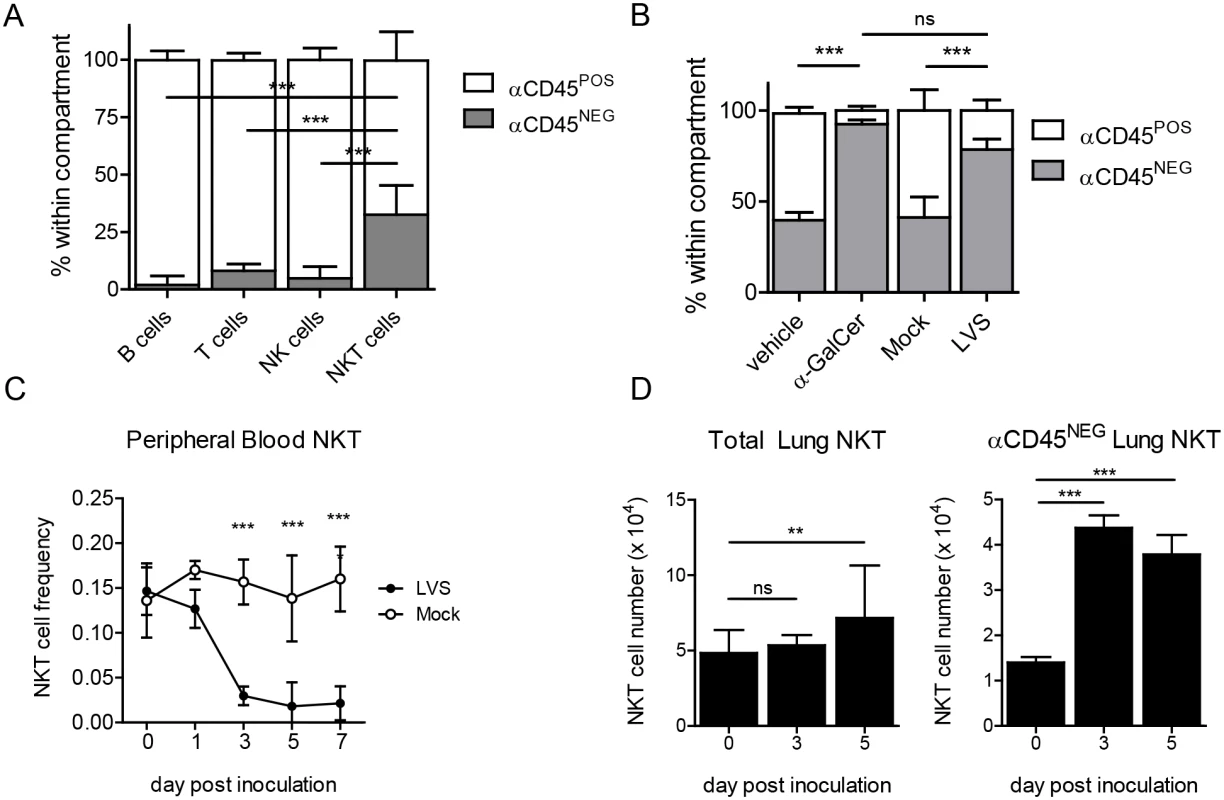 NKT cells are recruited to the lung interstitium in response to LVS infection.