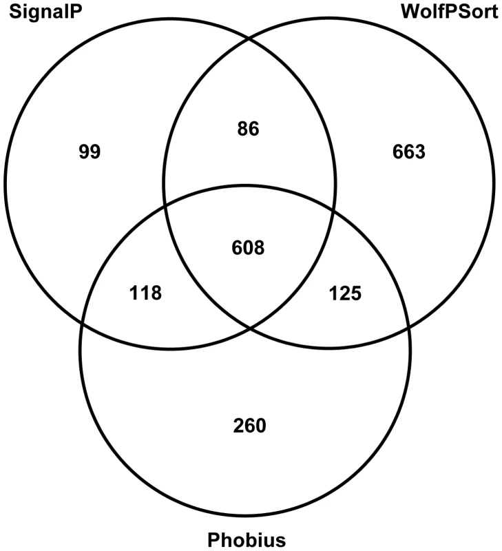 Summary of secreted proteins predicted by 3 different methods: SignalP, WolfPsort and Phobius.