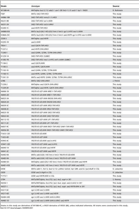Yeast strains used in the study.