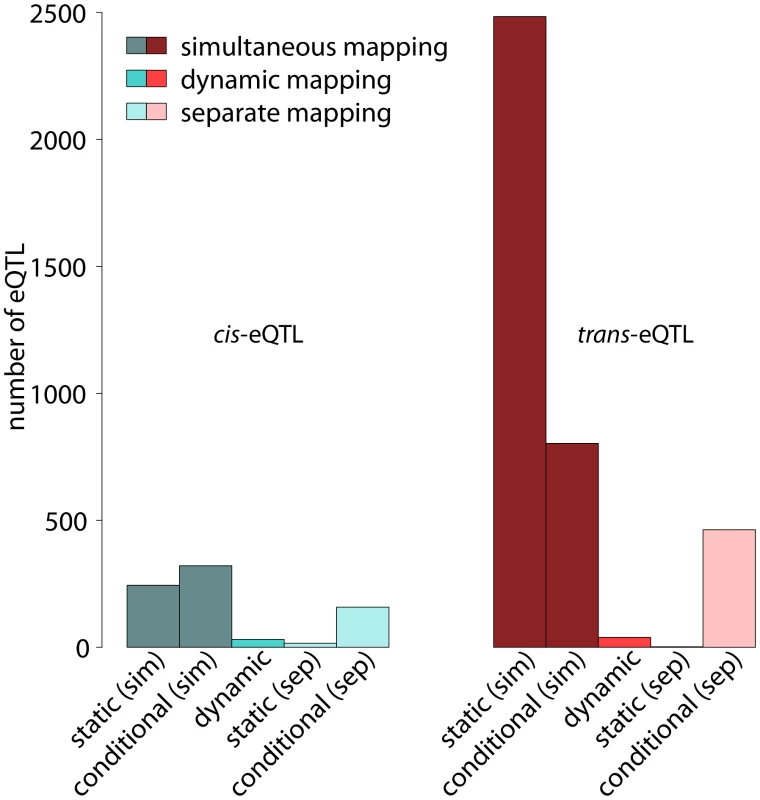 Number of <i>cis</i>- and <i>trans</i>-eQTL in different eQTL classes.