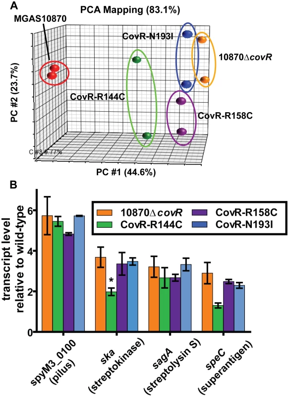 Transcriptome analysis of GAS strains with CovR single amino replacements.