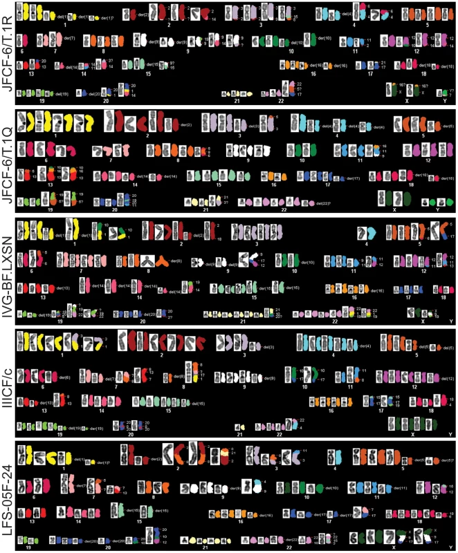 Abnormal karyotypes in ALT lines.