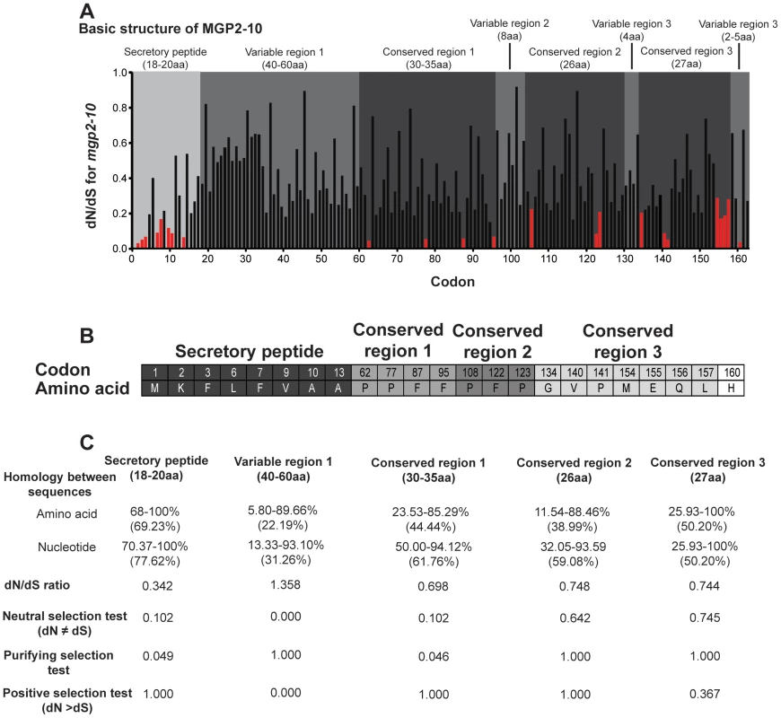 Selective pressure acting upon <i>mgp</i> gene family.