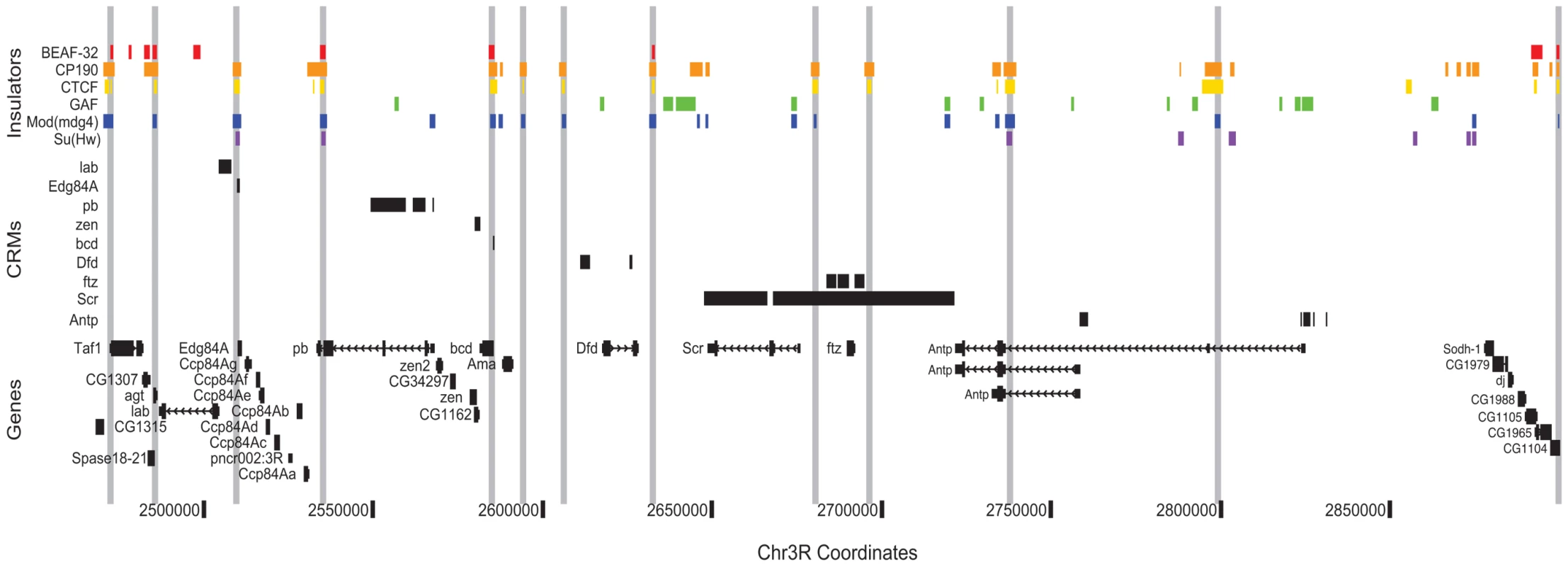 Class I insulators demarcate regulatory boundaries in the Antennapedia Complex (ANT-C) region.